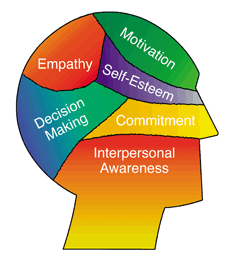 What is emotional intelligence?